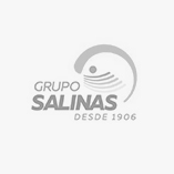 Grupo Salinas